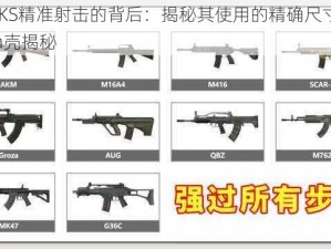 枪械SKS精准射击的背后：揭秘其使用的精确尺寸——多少mm壳揭秘