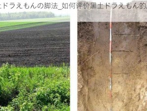 黑土ドラえもんの脚法_如何评价黑土ドラえもん的脚法？