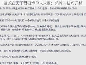 御龙在天丁酉幻境单人攻略：策略与技巧详解