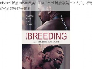 bdsm性折磨bdsm欧美hd,BDSM 性折磨欧美 HD 大片，极致感官刺激等你来体验