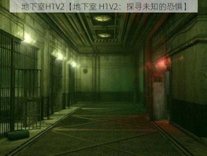 地下室H1V2【地下室 H1V2：探寻未知的恐惧】