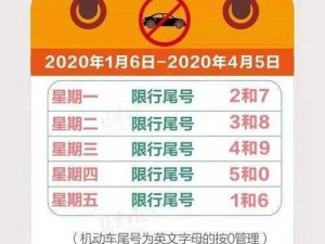 公交车 6 人轮换 C 白月，舒适安全的出行选择