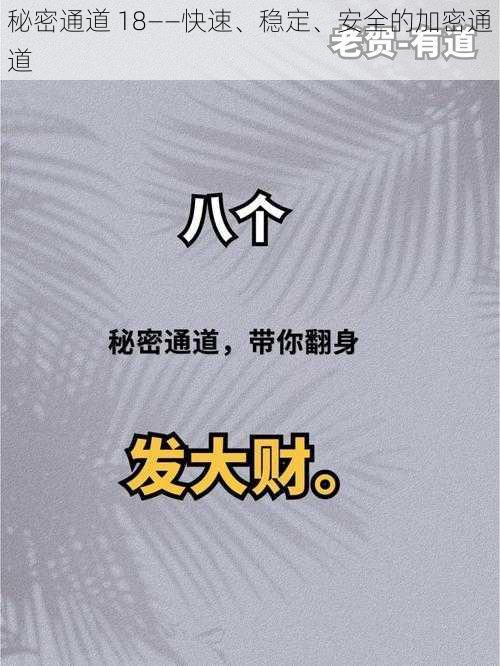 秘密通道 18——快速、稳定、安全的加密通道