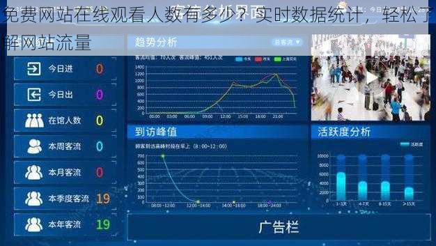 免费网站在线观看人数有多少？实时数据统计，轻松了解网站流量