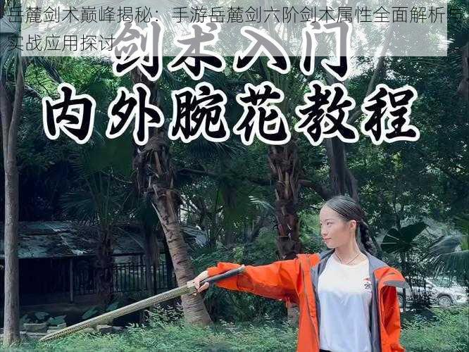 岳麓剑术巅峰揭秘：手游岳麓剑六阶剑术属性全面解析与实战应用探讨