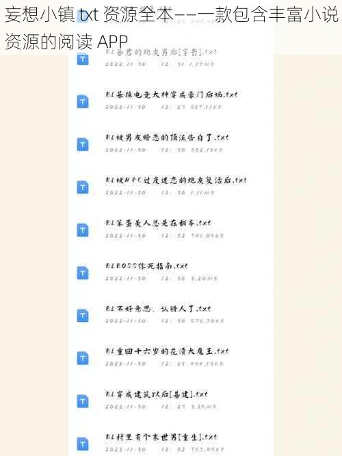 妄想小镇 txt 资源全本——一款包含丰富小说资源的阅读 APP