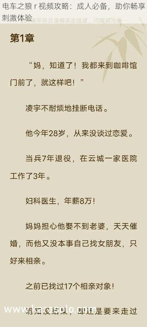 电车之狼 r 视频攻略：成人必备，助你畅享刺激体验