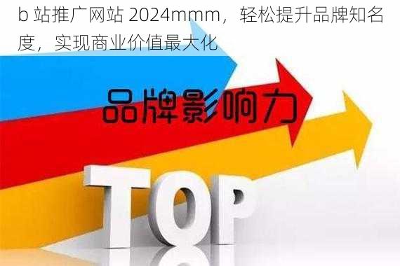 b 站推广网站 2024mmm，轻松提升品牌知名度，实现商业价值最大化