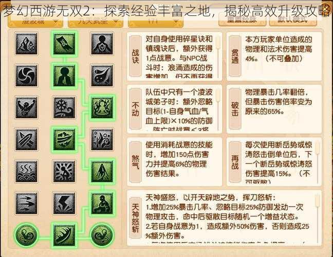 梦幻西游无双2：探索经验丰富之地，揭秘高效升级攻略