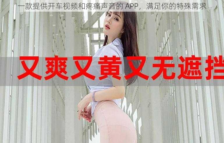 一款提供开车视频和疼痛声音的 APP，满足你的特殊需求