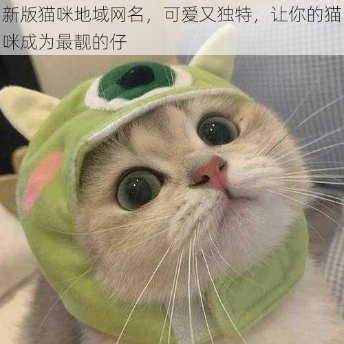 新版猫咪地域网名，可爱又独特，让你的猫咪成为最靓的仔