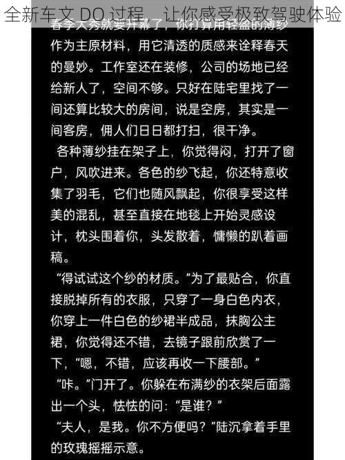 全新车文 DO 过程，让你感受极致驾驶体验