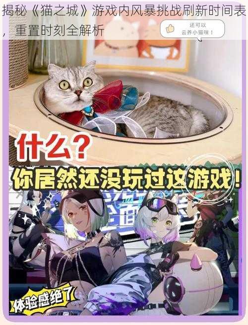 揭秘《猫之城》游戏内风暴挑战刷新时间表，重置时刻全解析