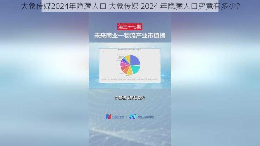 大象传媒2024年隐藏人口 大象传媒 2024 年隐藏人口究竟有多少？