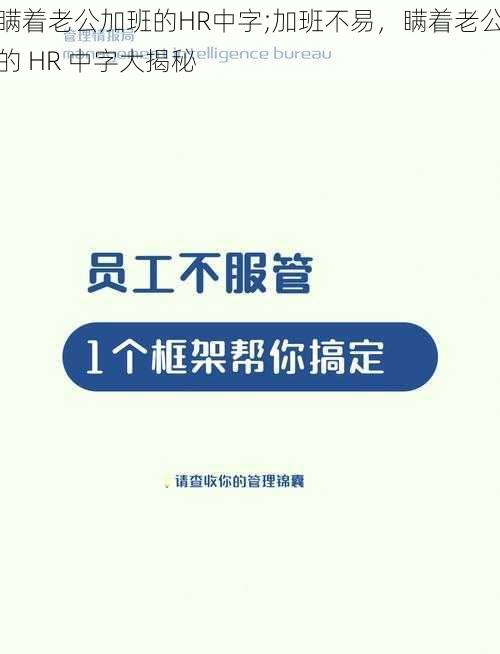 瞒着老公加班的HR中字;加班不易，瞒着老公的 HR 中字大揭秘