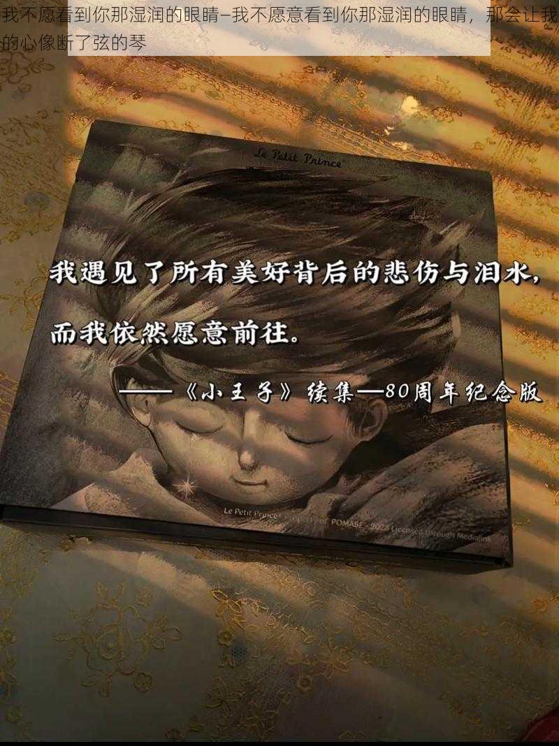 我不愿看到你那湿润的眼睛—我不愿意看到你那湿润的眼睛，那会让我的心像断了弦的琴