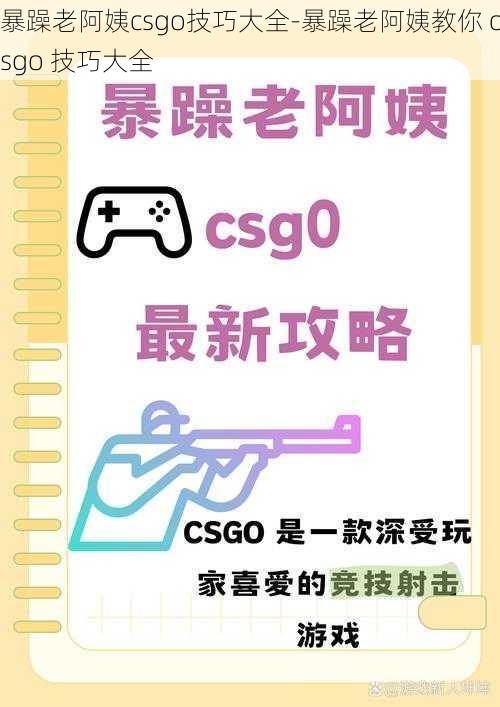 暴躁老阿姨csgo技巧大全-暴躁老阿姨教你 csgo 技巧大全