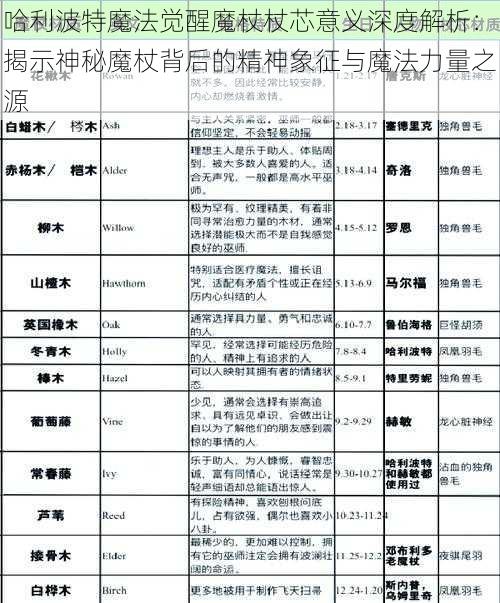 哈利波特魔法觉醒魔杖杖芯意义深度解析：揭示神秘魔杖背后的精神象征与魔法力量之源