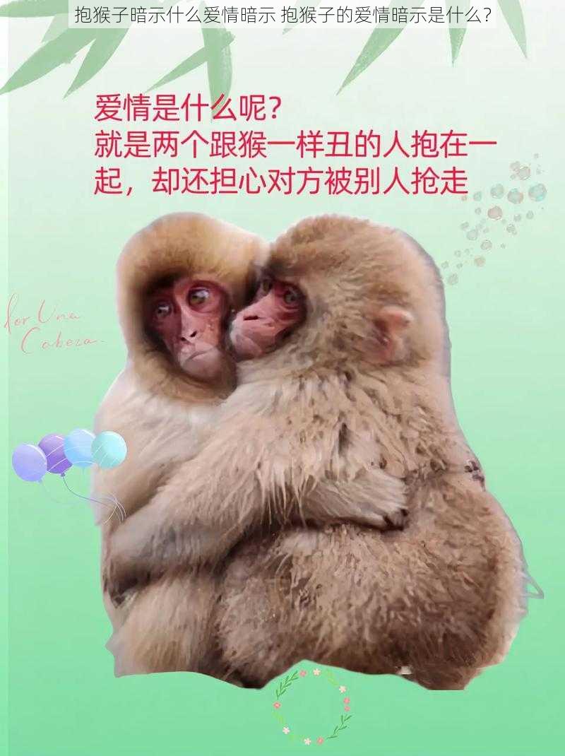 抱猴子暗示什么爱情暗示 抱猴子的爱情暗示是什么？