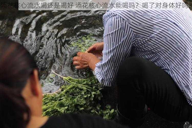 添花核心流水喝还是喝好 添花核心流水能喝吗？喝了对身体好吗？