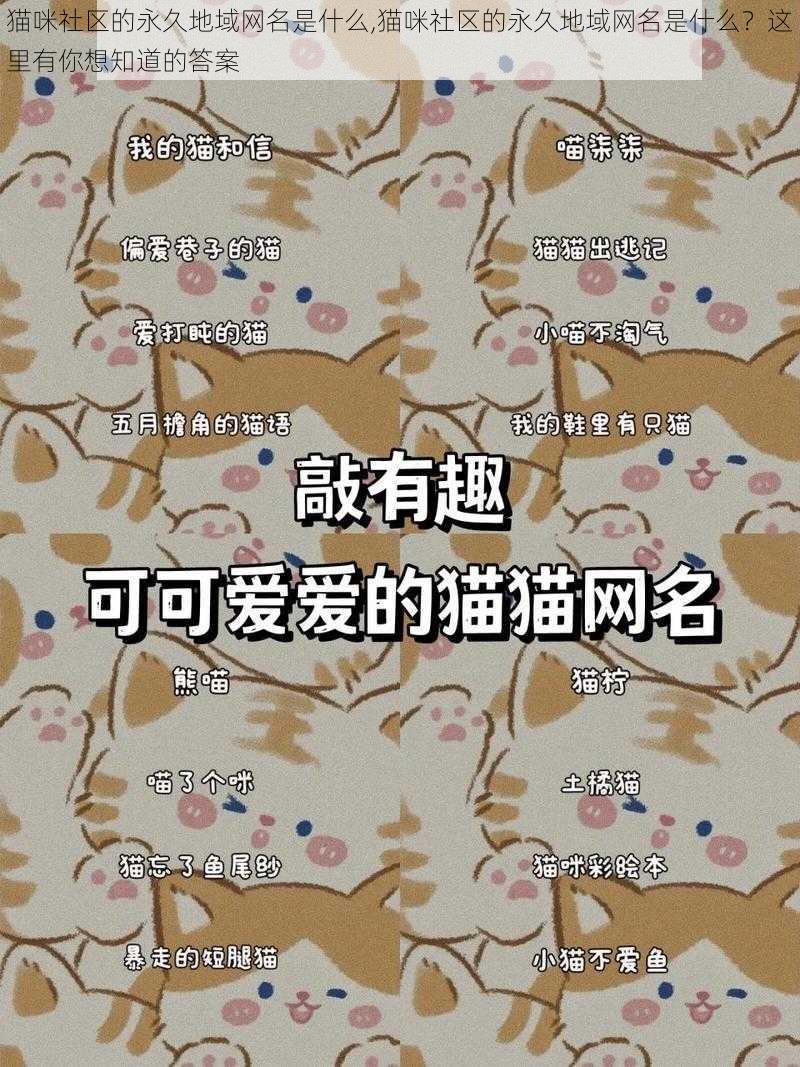 猫咪社区的永久地域网名是什么,猫咪社区的永久地域网名是什么？这里有你想知道的答案