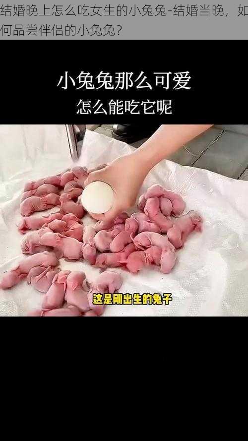 结婚晚上怎么吃女生的小兔兔-结婚当晚，如何品尝伴侣的小兔兔？