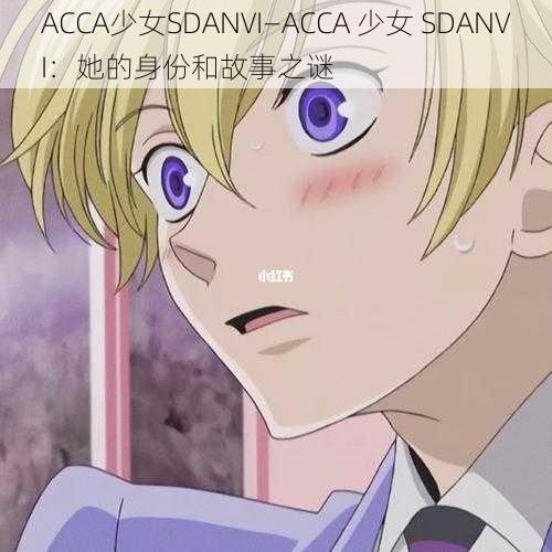 ACCA少女SDANVI—ACCA 少女 SDANVI：她的身份和故事之谜