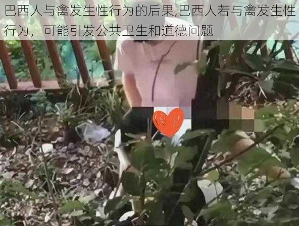 巴西人与禽发生性行为的后果,巴西人若与禽发生性行为，可能引发公共卫生和道德问题