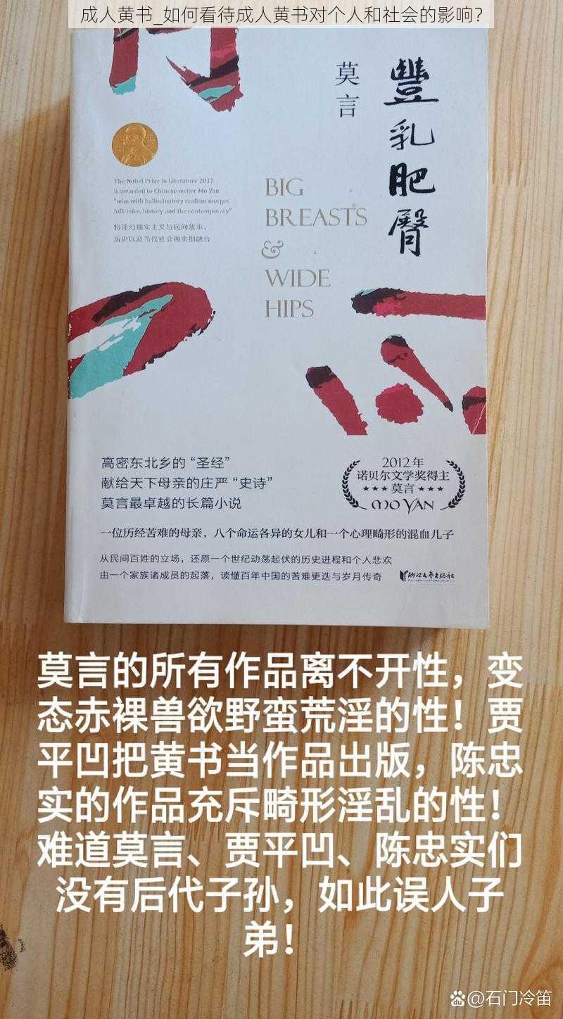 成人黄书_如何看待成人黄书对个人和社会的影响？