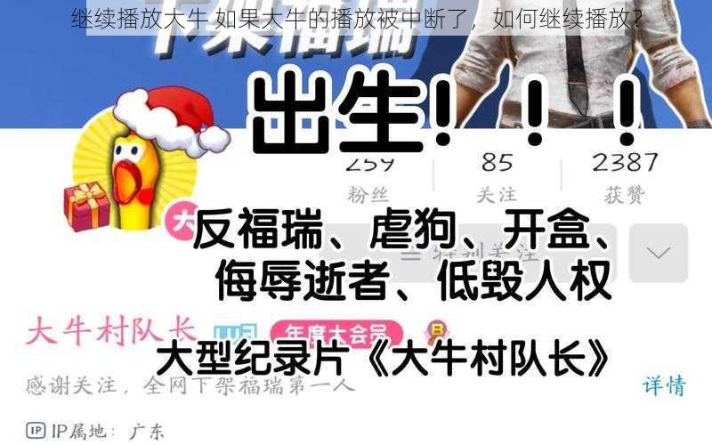 继续播放大牛 如果大牛的播放被中断了，如何继续播放？