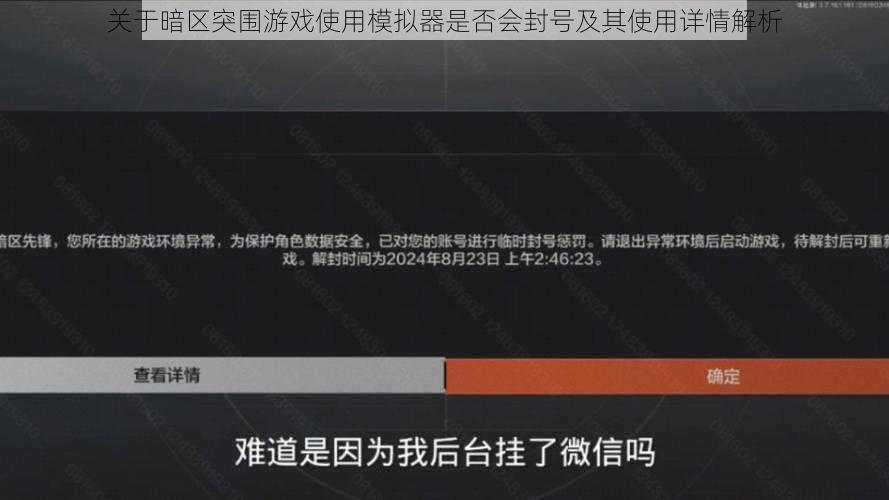 关于暗区突围游戏使用模拟器是否会封号及其使用详情解析