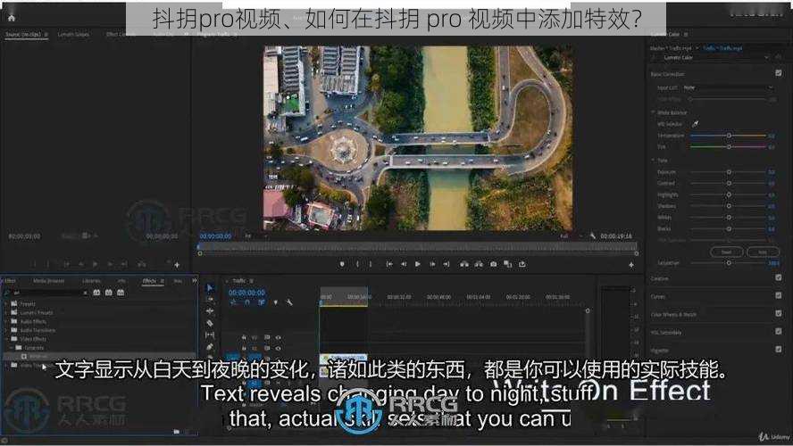 抖抈pro视频、如何在抖抈 pro 视频中添加特效？