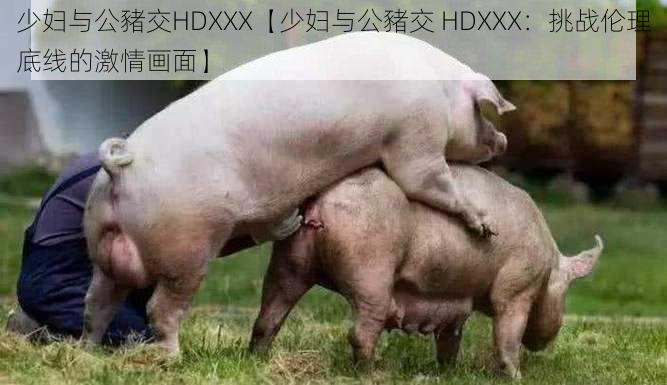 少妇与公豬交HDXXX【少妇与公豬交 HDXXX：挑战伦理底线的激情画面】