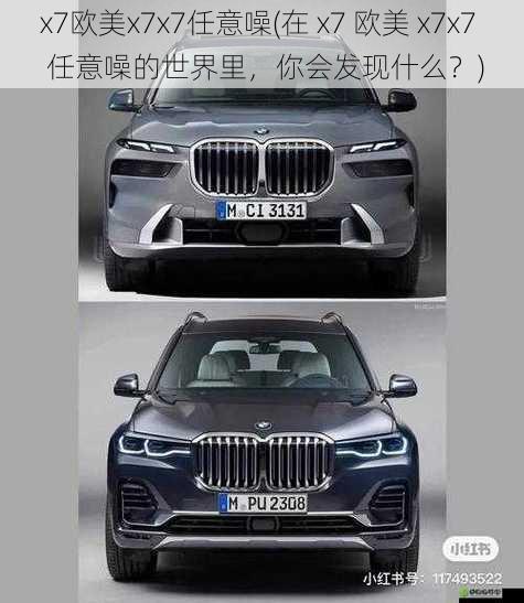 x7欧美x7x7任意噪(在 x7 欧美 x7x7 任意噪的世界里，你会发现什么？)