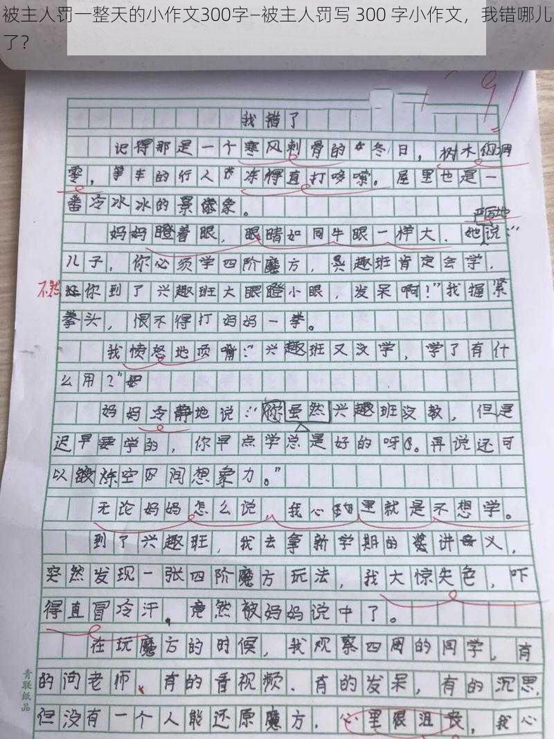 被主人罚一整天的小作文300字—被主人罚写 300 字小作文，我错哪儿了？