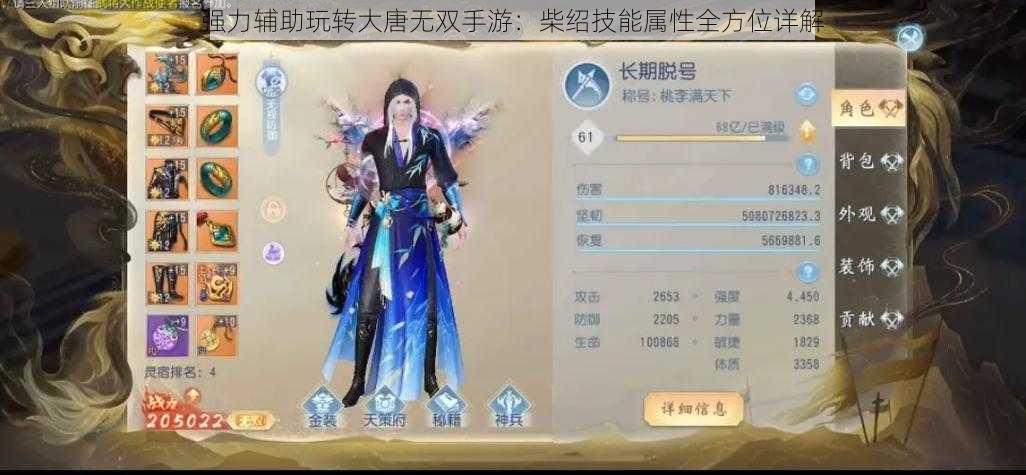 强力辅助玩转大唐无双手游：柴绍技能属性全方位详解