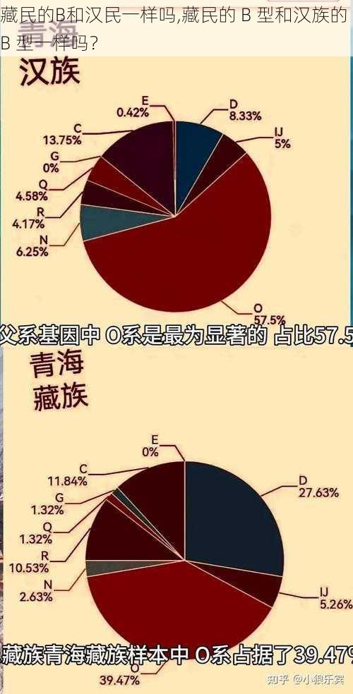 藏民的B和汉民一样吗,藏民的 B 型和汉族的 B 型一样吗？