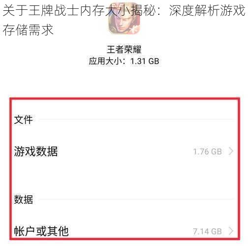 关于王牌战士内存大小揭秘：深度解析游戏存储需求