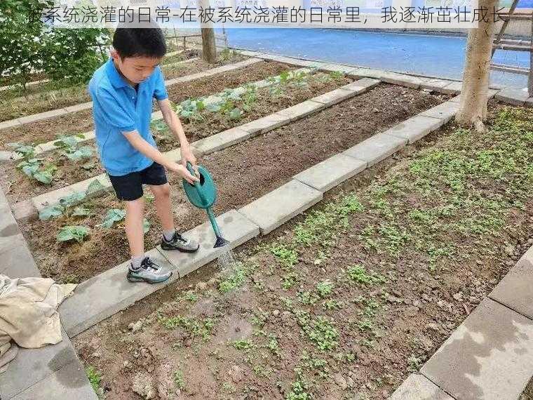 被系统浇灌的日常-在被系统浇灌的日常里，我逐渐茁壮成长