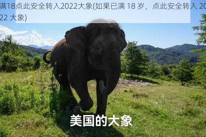 满18点此安全转入2022大象(如果已满 18 岁，点此安全转入 2022 大象)