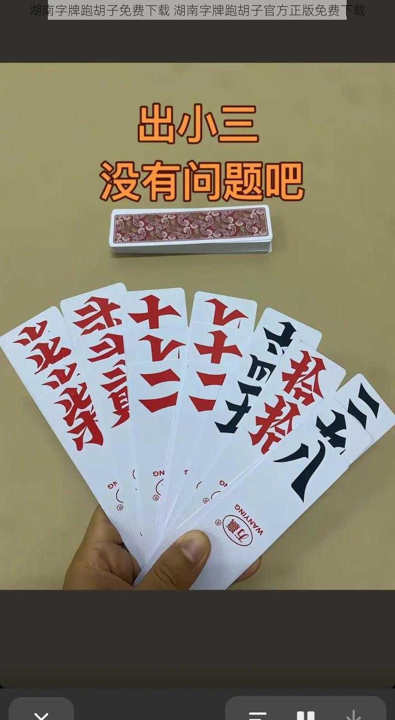 湖南字牌跑胡子免费下载 湖南字牌跑胡子官方正版免费下载