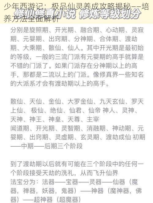 少年西游记：极品仙灵养成攻略揭秘——培养方法全面解析