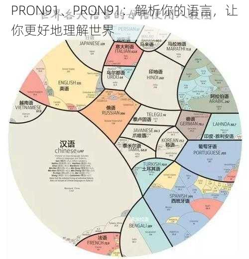 PRON91、PRON91：解析你的语言，让你更好地理解世界