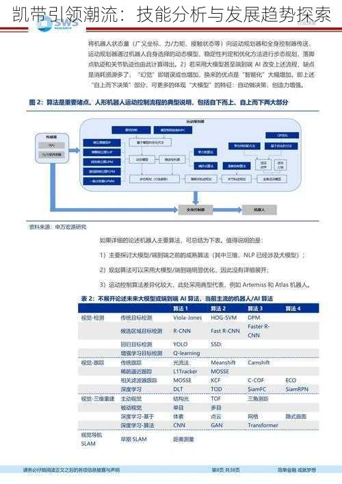 凯带引领潮流：技能分析与发展趋势探索