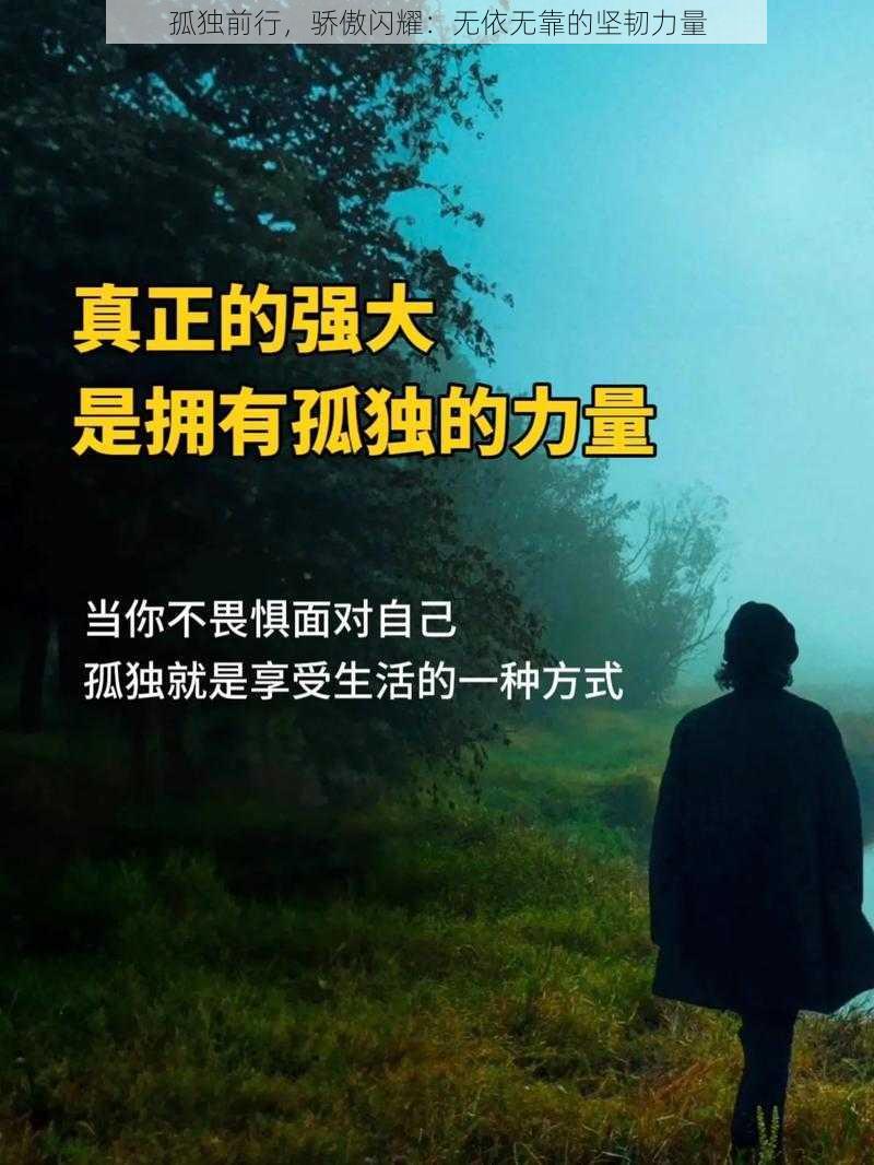 孤独前行，骄傲闪耀：无依无靠的坚韧力量