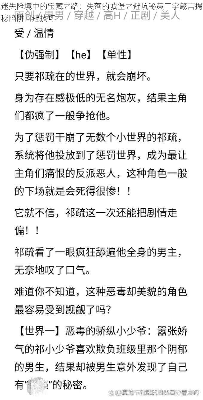 迷失险境中的宝藏之路：失落的城堡之避坑秘策三字箴言揭秘陷阱回避技巧