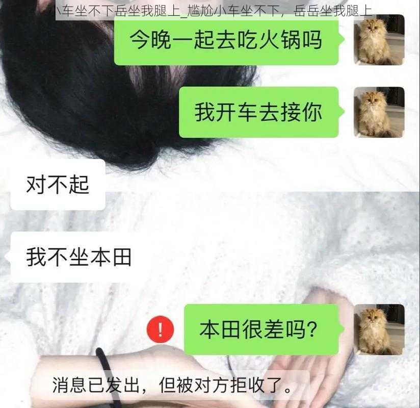 小车坐不下岳坐我腿上_尴尬小车坐不下，岳岳坐我腿上