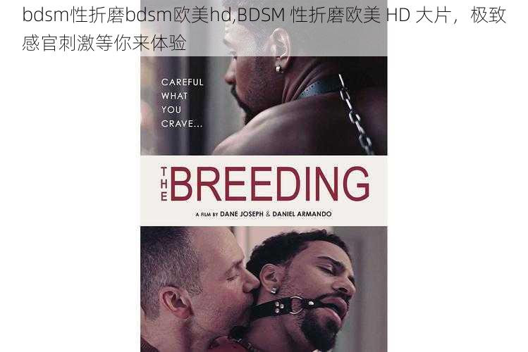 bdsm性折磨bdsm欧美hd,BDSM 性折磨欧美 HD 大片，极致感官刺激等你来体验