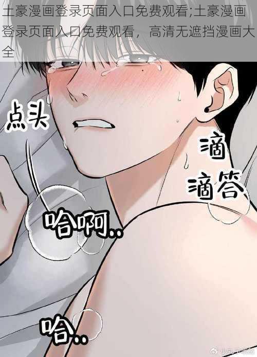 土豪漫画登录页面入口免费观看;土豪漫画登录页面入口免费观看，高清无遮挡漫画大全