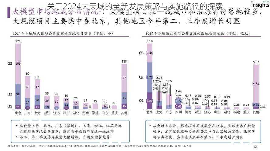 关于2024大天域的全新发展策略与实施路径的探索